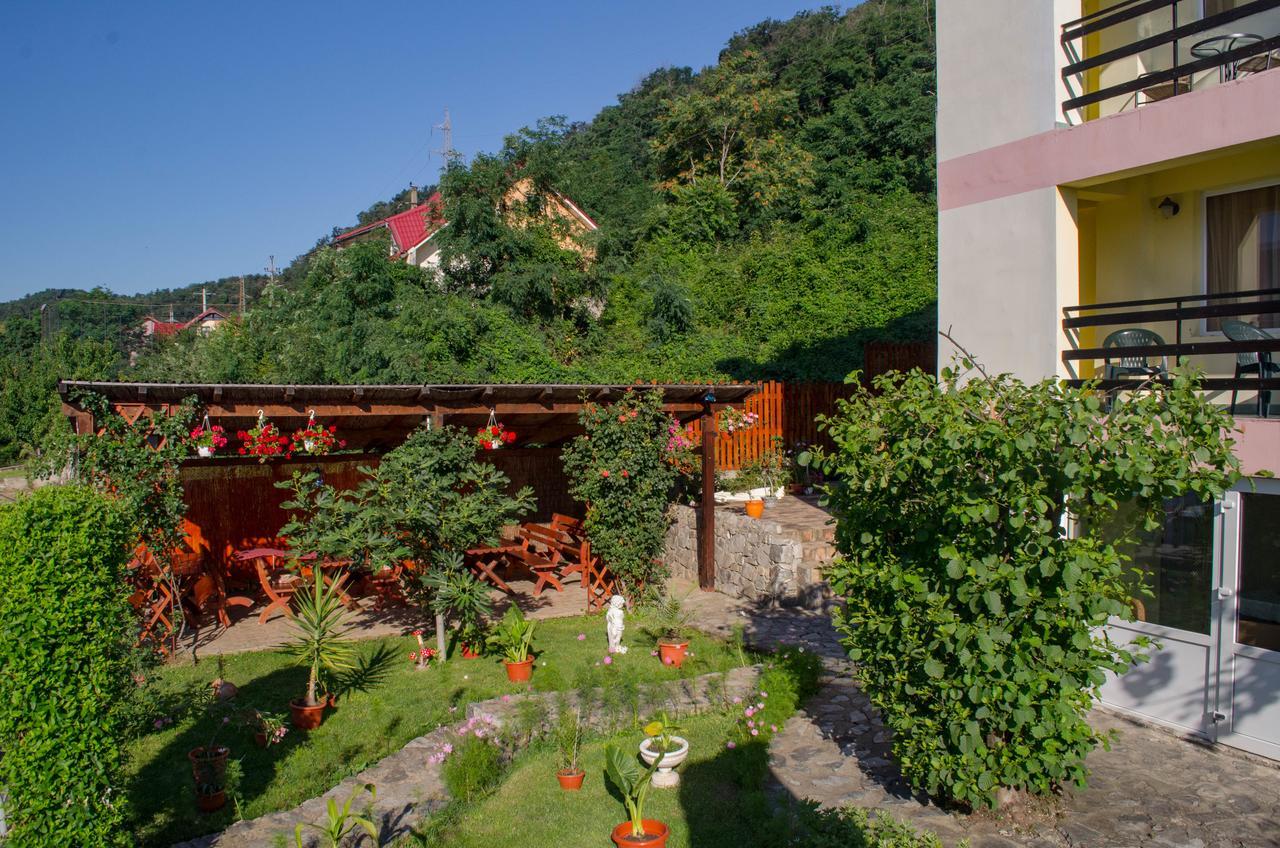 Casa Ana Serena Ieşelniţa 外观 照片